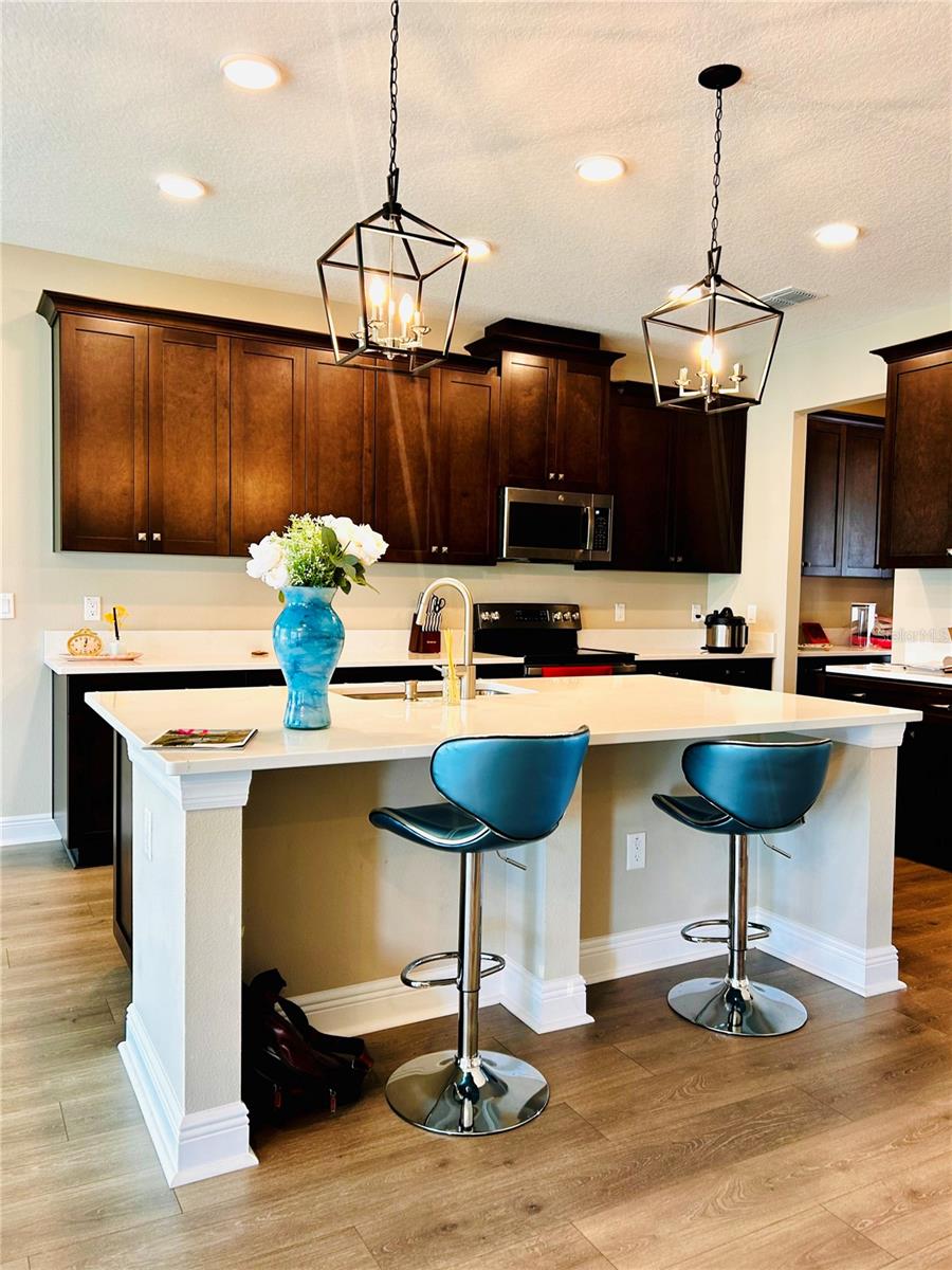 Image 3 of 7 For 33234 Sycamore Leaf Drive