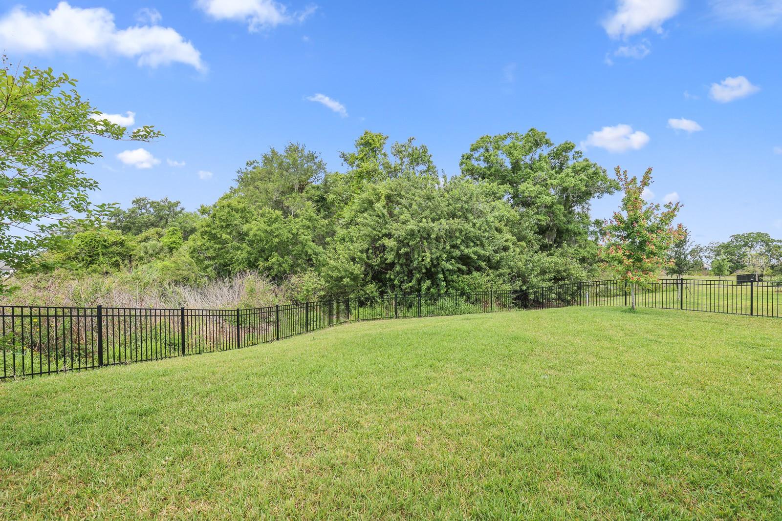 Image 40 of 55 For 6269 Hidden Branch Drive