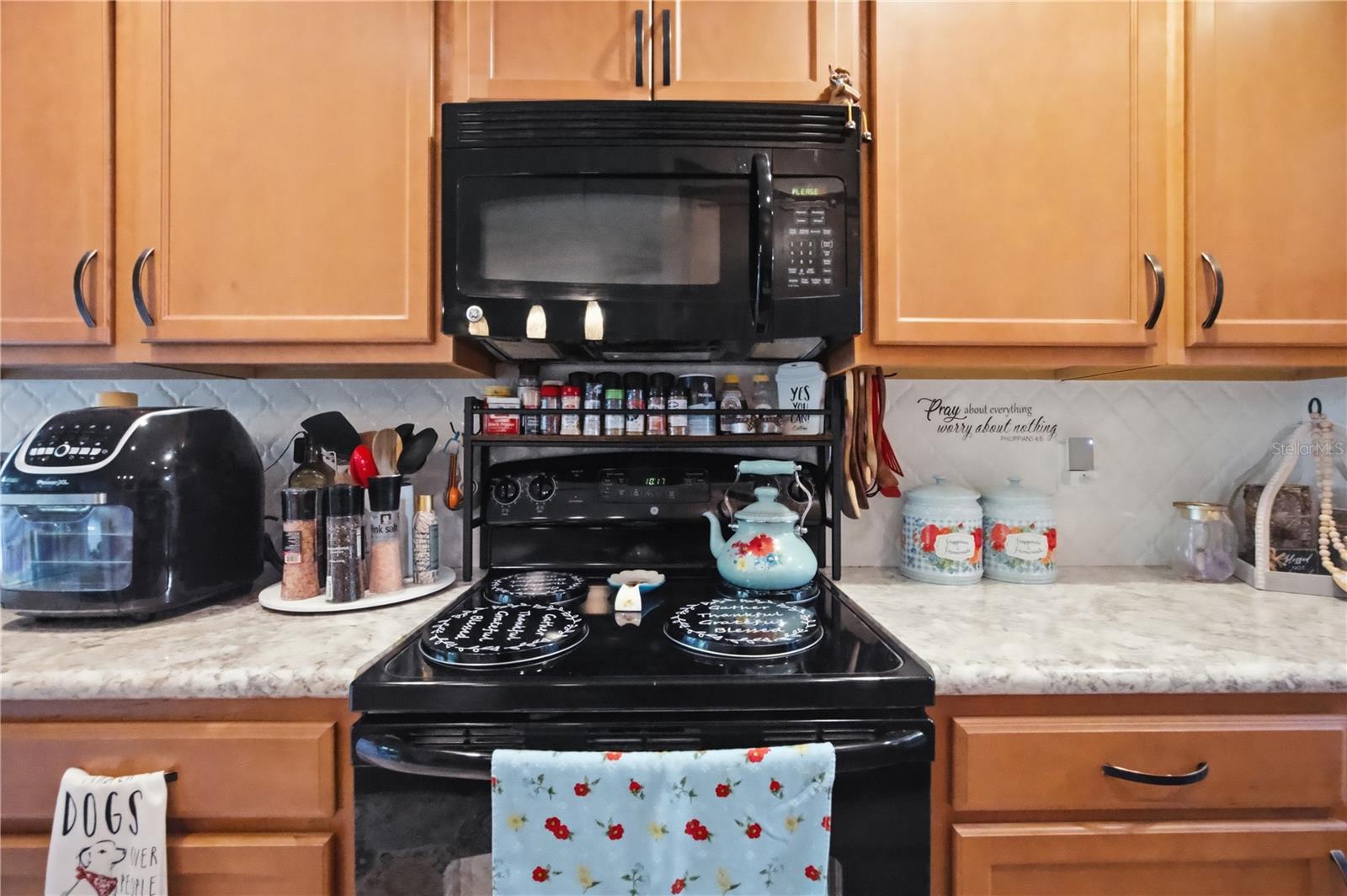 Image 10 of 36 For 2111 River Turia Circle