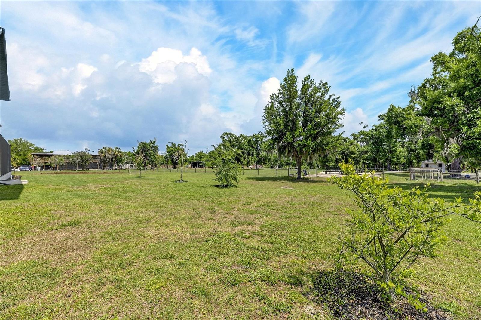 Image 83 of 95 For 16410 Alderman Turner Road