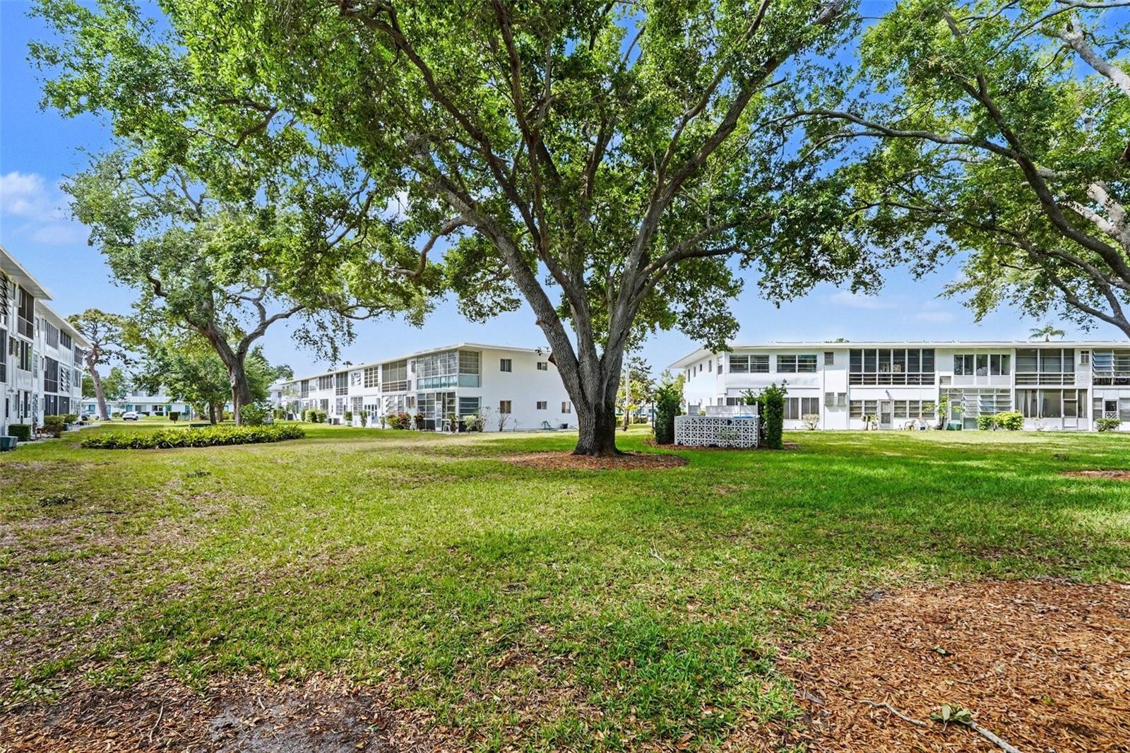 Image 28 of 28 For 8402 111th Street N 101