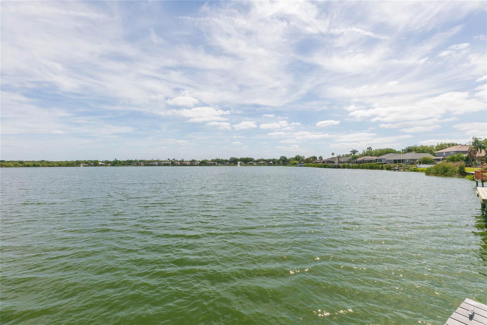 Listing photo id 53 for 7227 Colonial Lake Drive