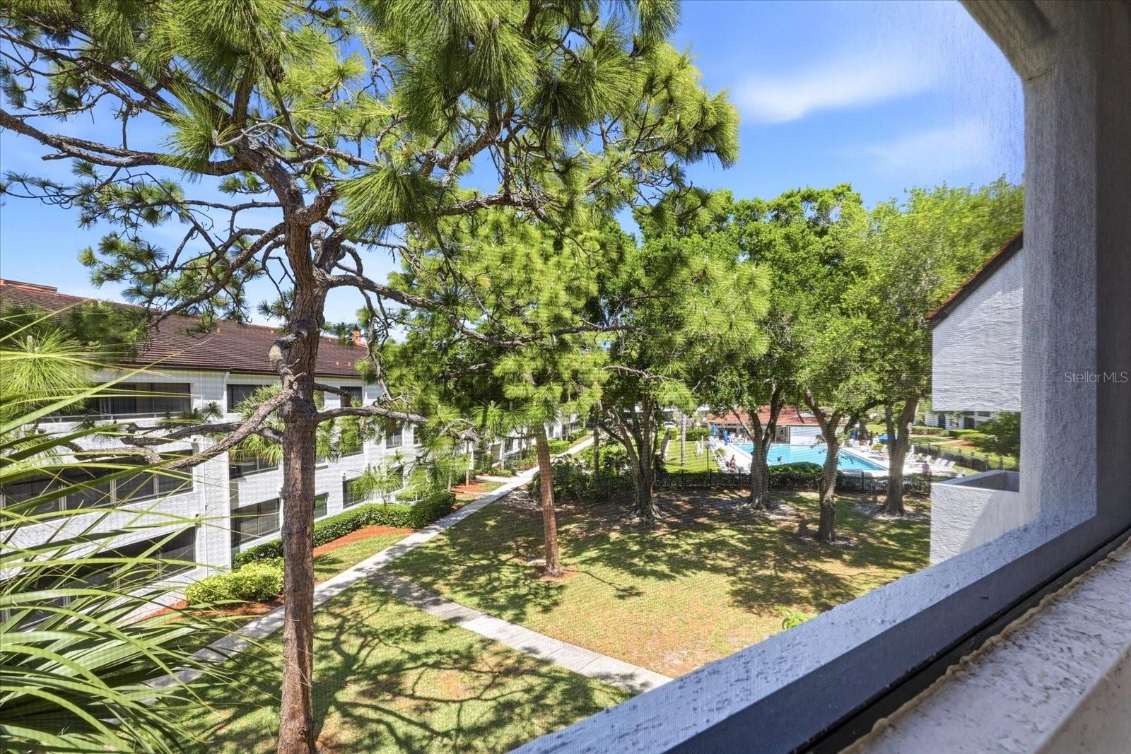 Image 33 of 57 For 2593 Countryside Boulevard 7301