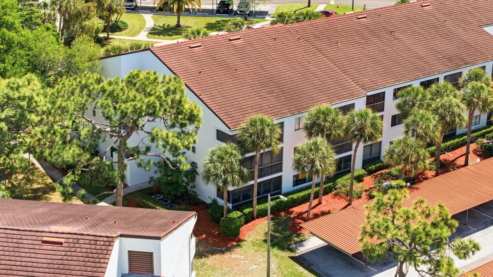 Image 35 of 57 For 2593 Countryside Boulevard 7301