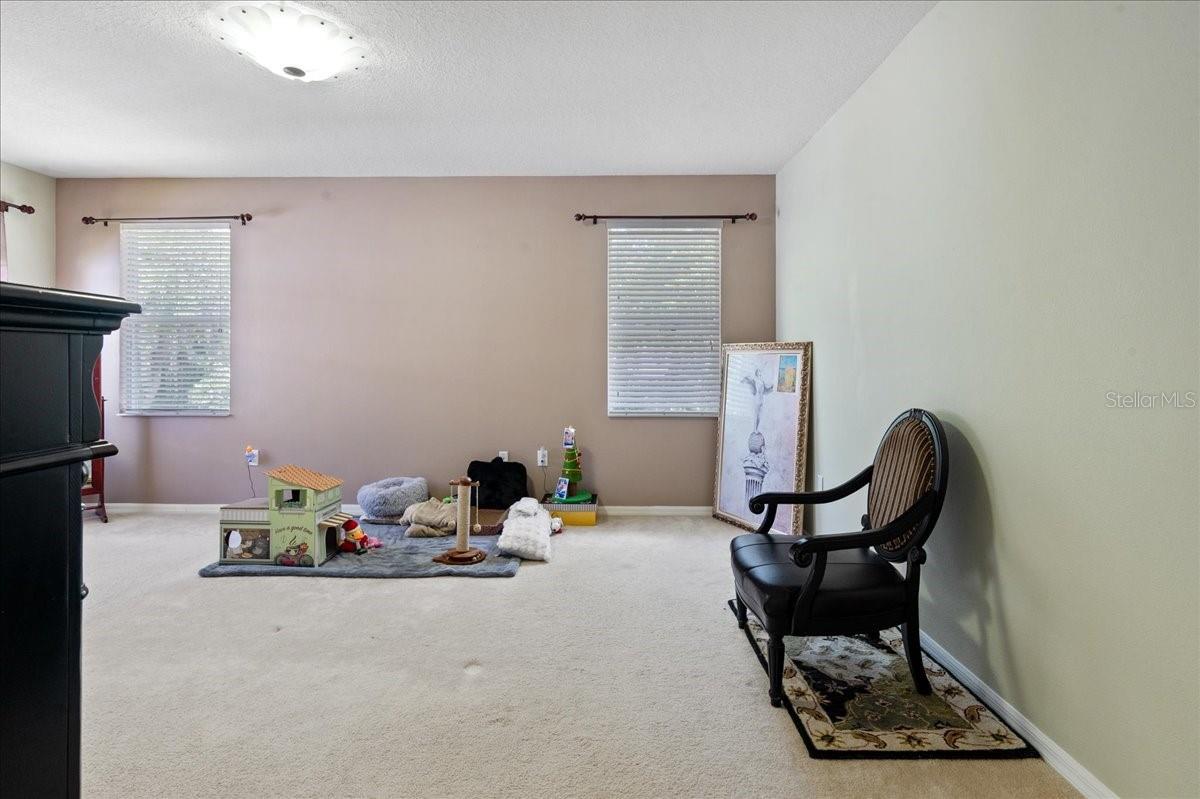 Image 41 of 50 For 4445 Amberly Oaks Court