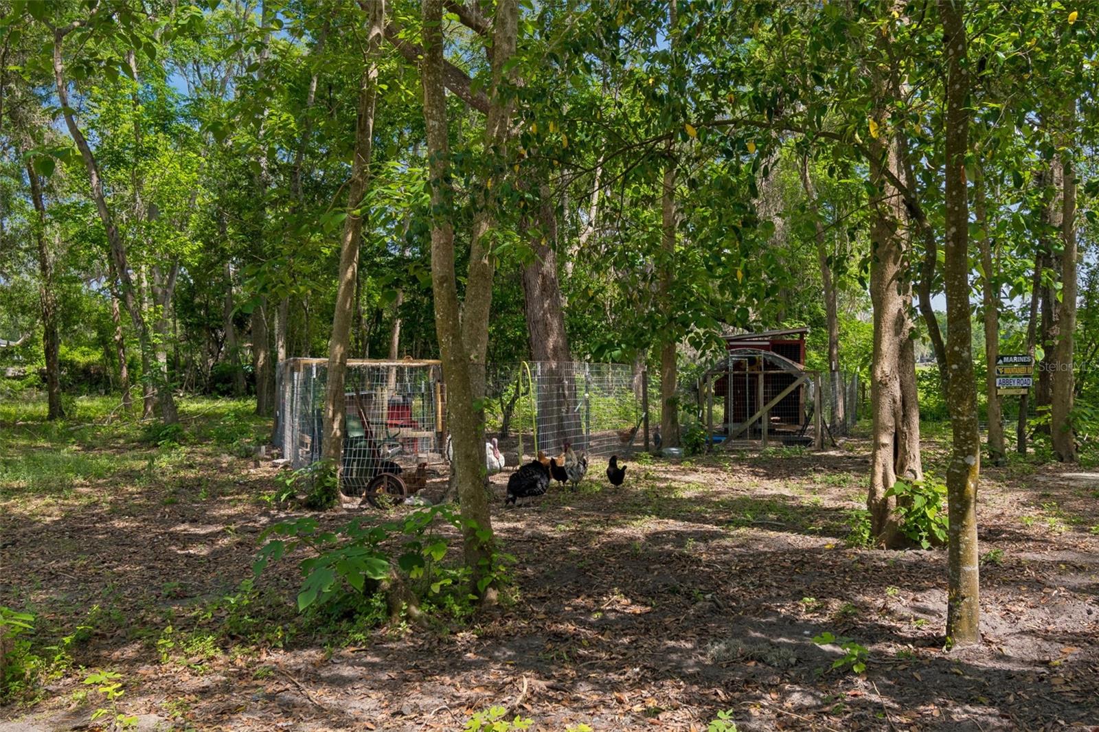 Image 43 of 52 For 17114 Brittle Road