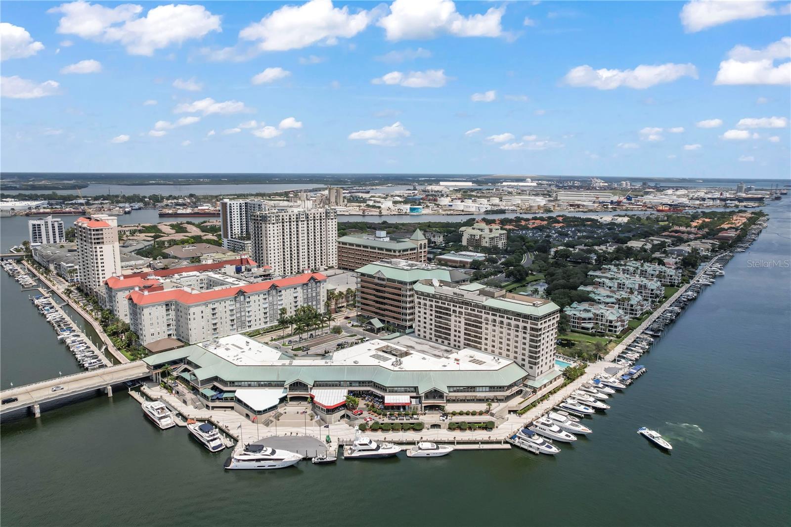 Image 24 of 34 For 501 Knights Run Avenue 1223