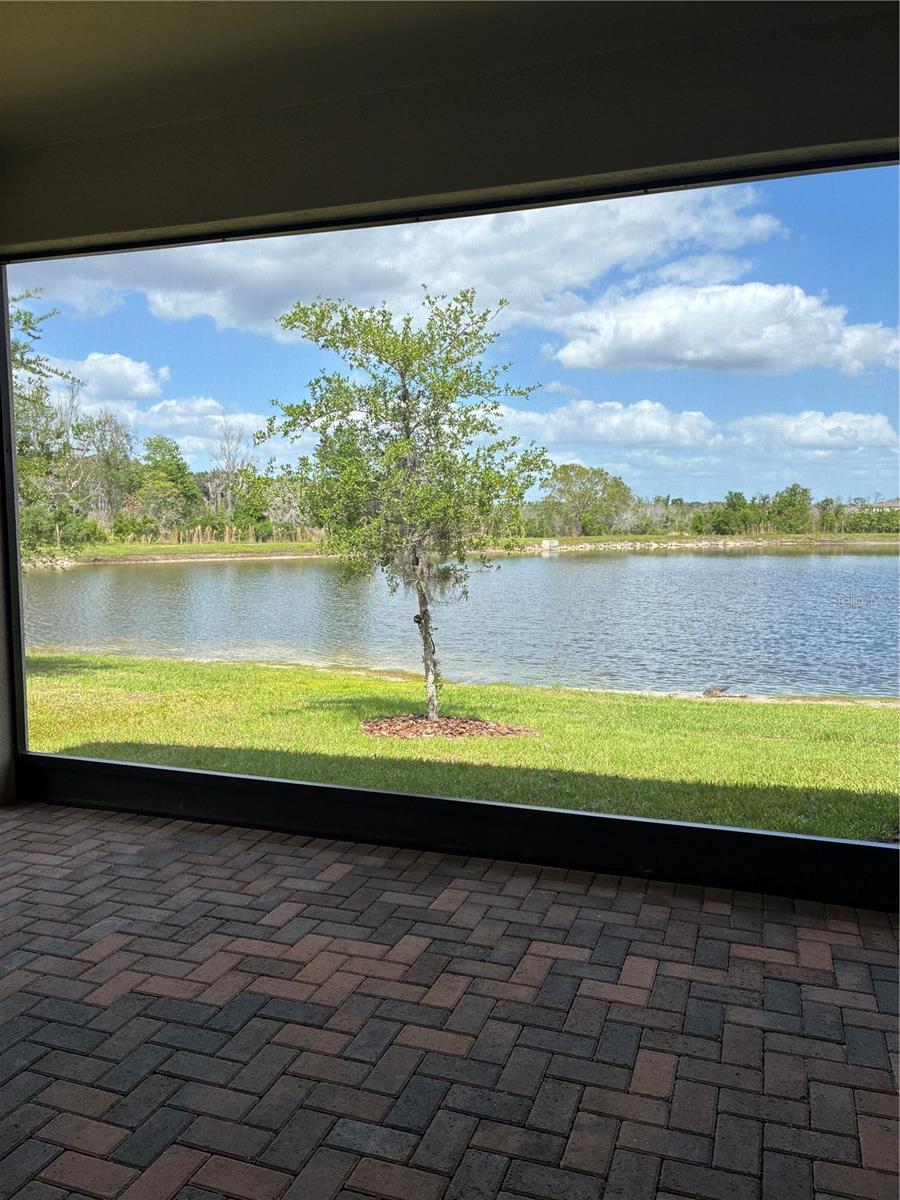 Image 23 of 27 For 9766 Campanula Court