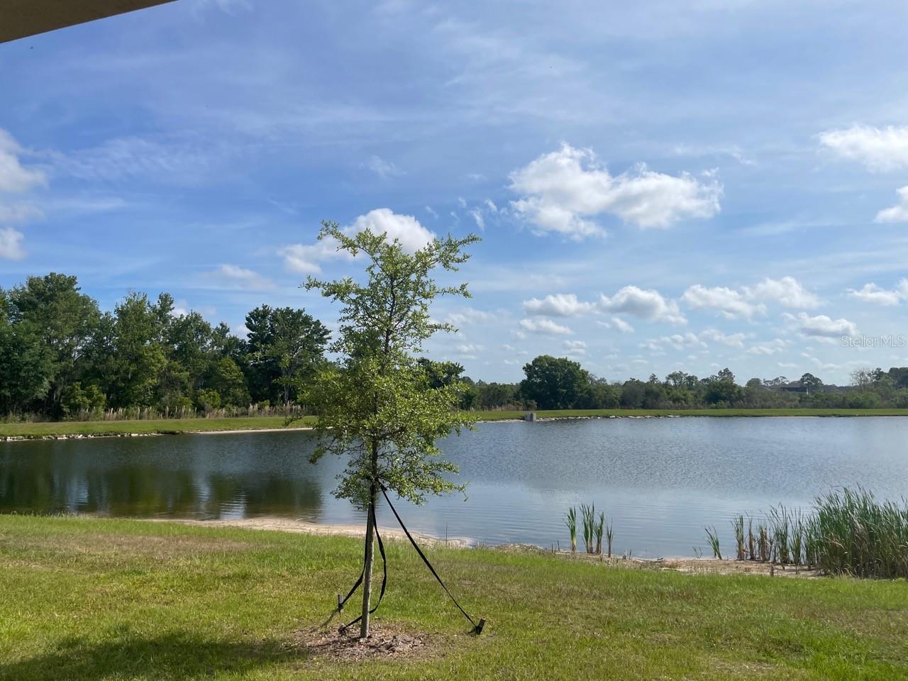 Image 24 of 27 For 9766 Campanula Court