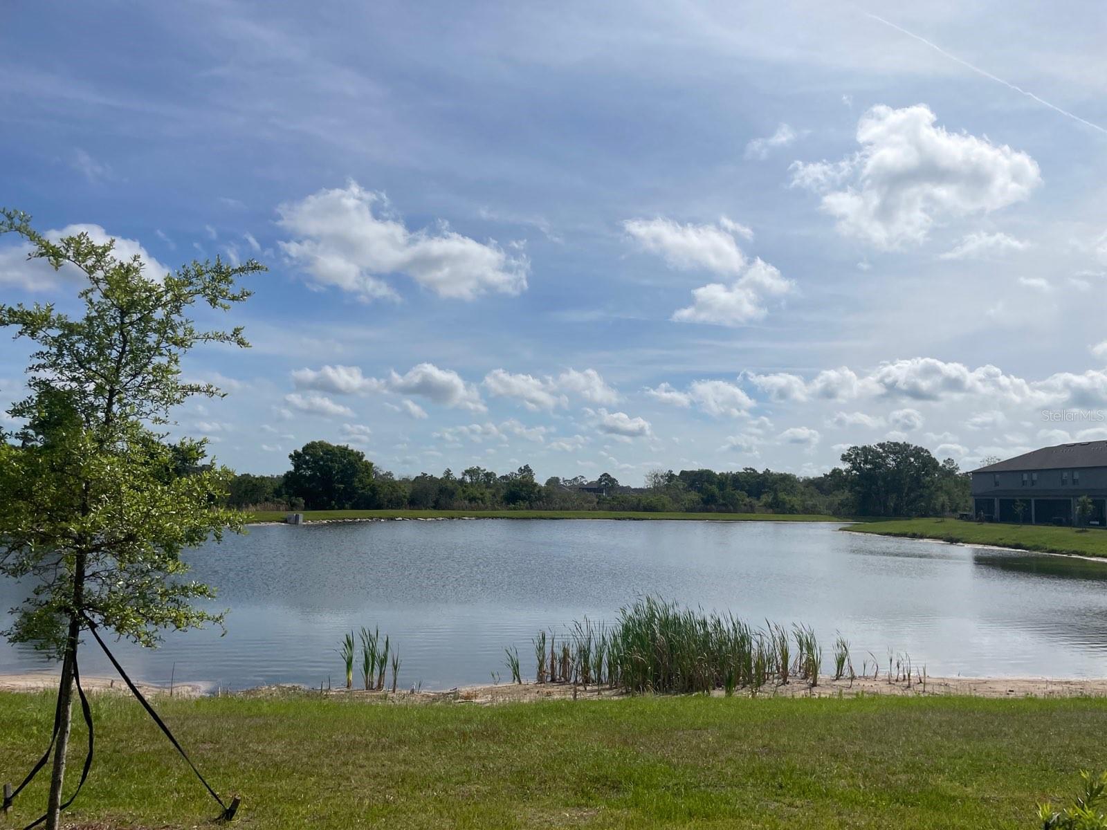 Image 25 of 27 For 9766 Campanula Court