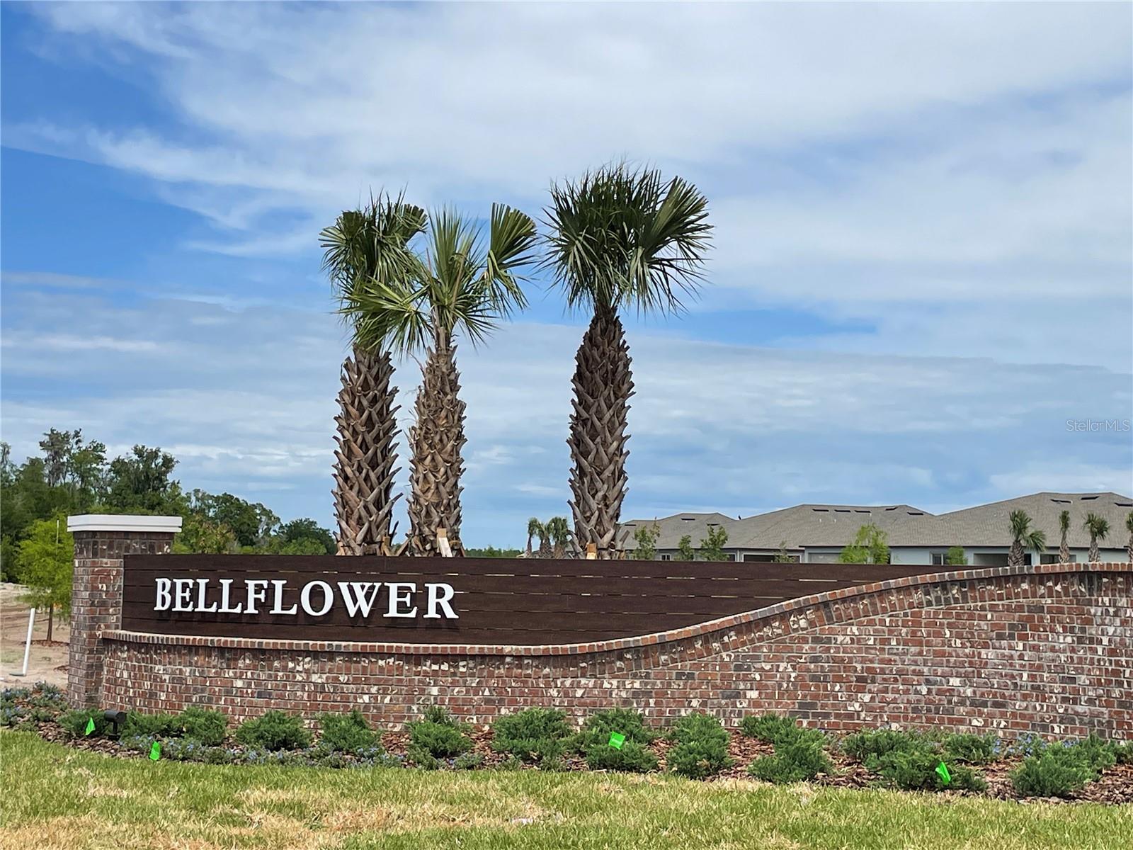 Image 27 of 27 For 9766 Campanula Court