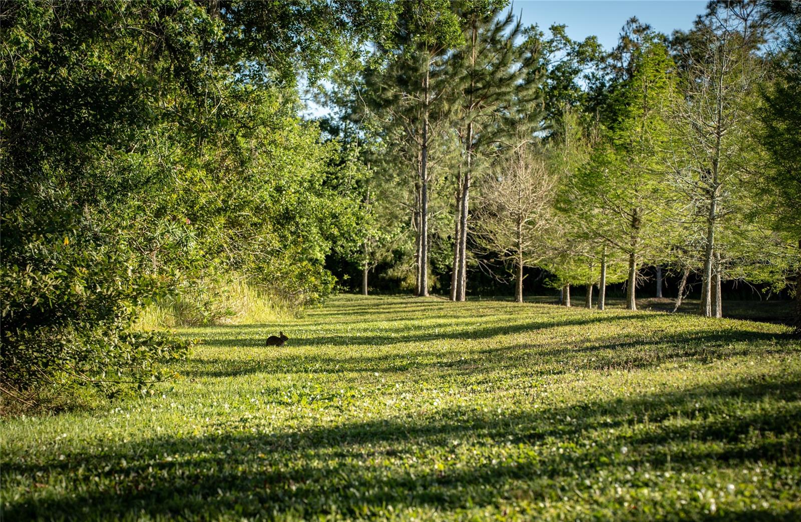 Image 79 of 90 For 19101 Magnolia Farms Lane