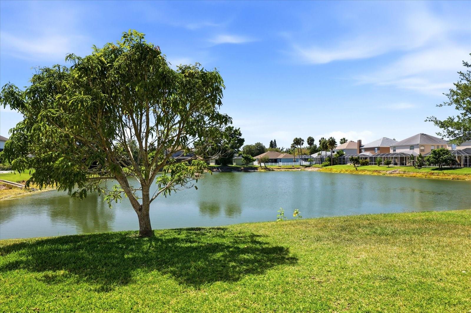 Image 35 of 48 For 6223 Rock Creek Circle