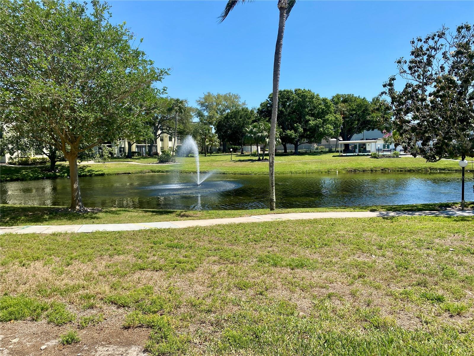 Image 40 of 79 For 14130 Rosemary Lane 3112