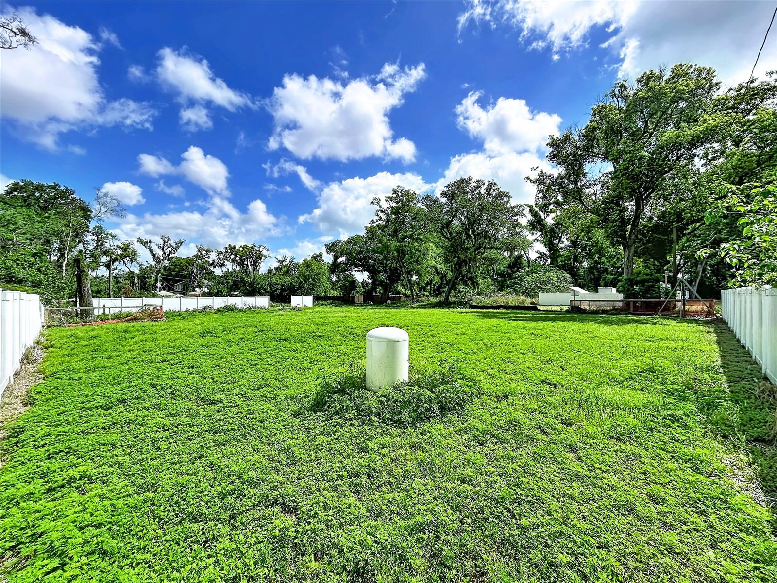 Image 6 of 12 For  Robson  