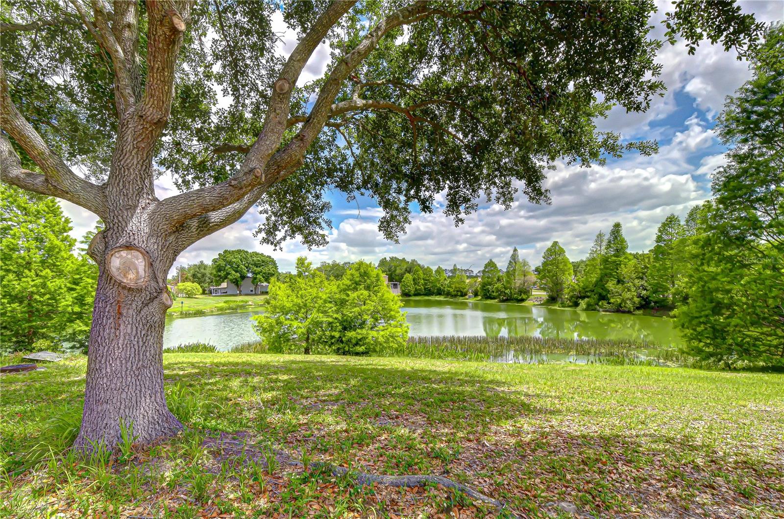 Listing photo id 37 for 18003 Birdwater Drive