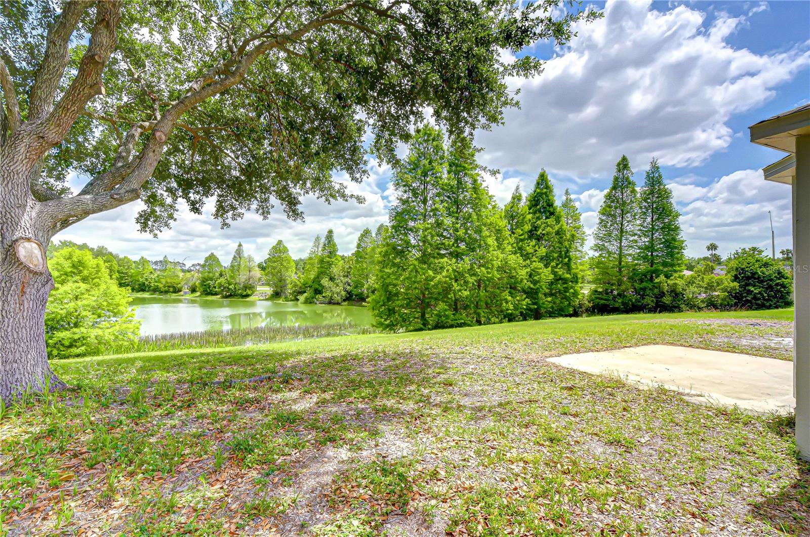 Listing photo id 38 for 18003 Birdwater Drive