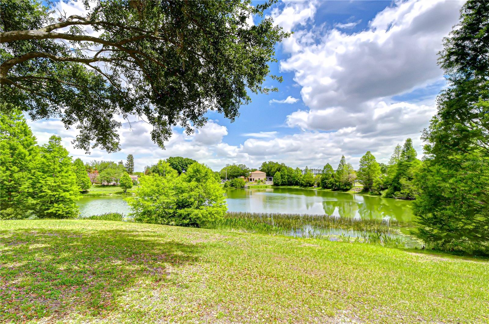 Listing photo id 39 for 18003 Birdwater Drive