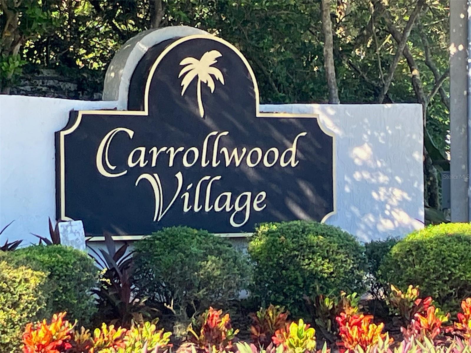 Image 42 of 47 For 4168 Northmeadow Circle