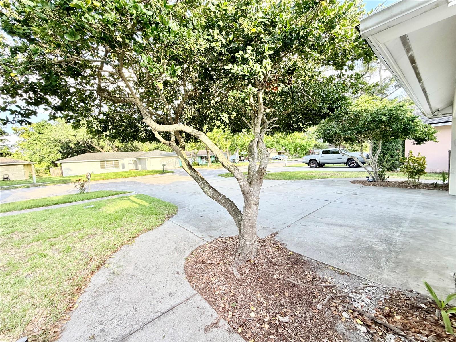 Image 3 of 41 For 1880 Oak Forest Drive E