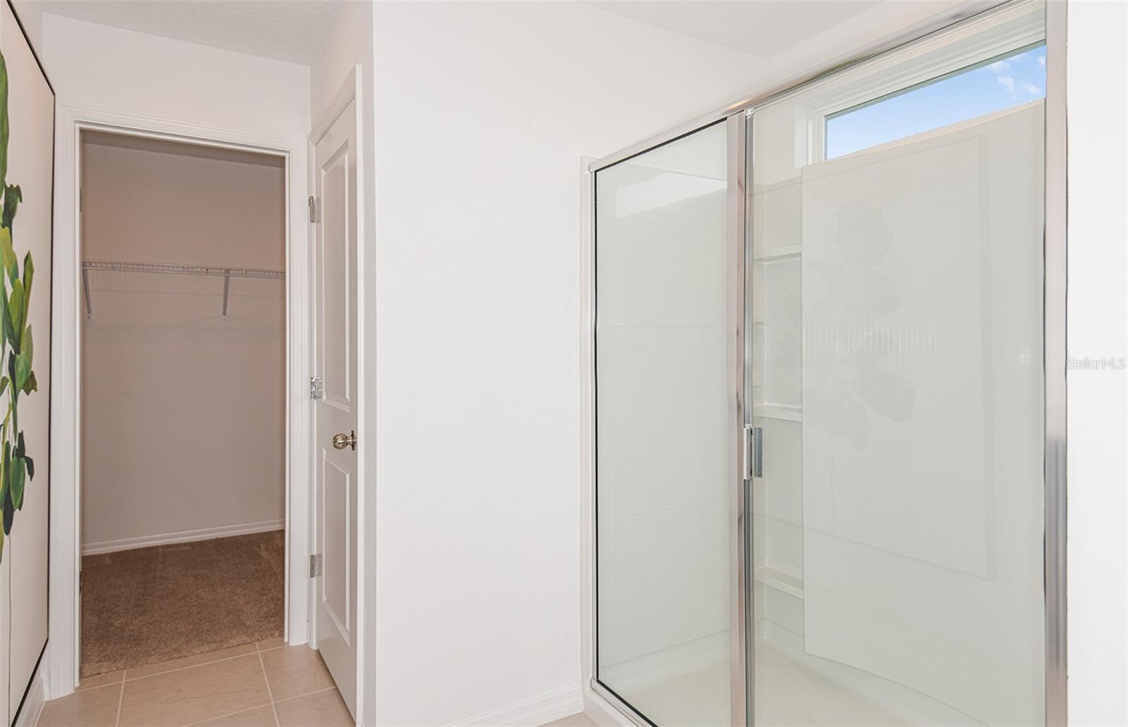 Image 11 of 21 For 9885 Trellis Vine Way