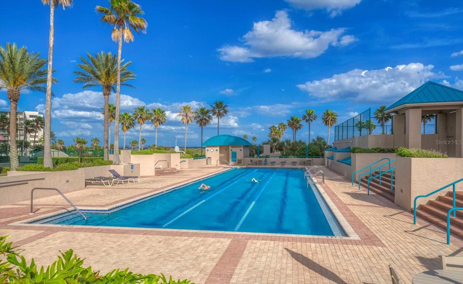 Image 36 of 48 For 1560 Gulf Boulevard 304