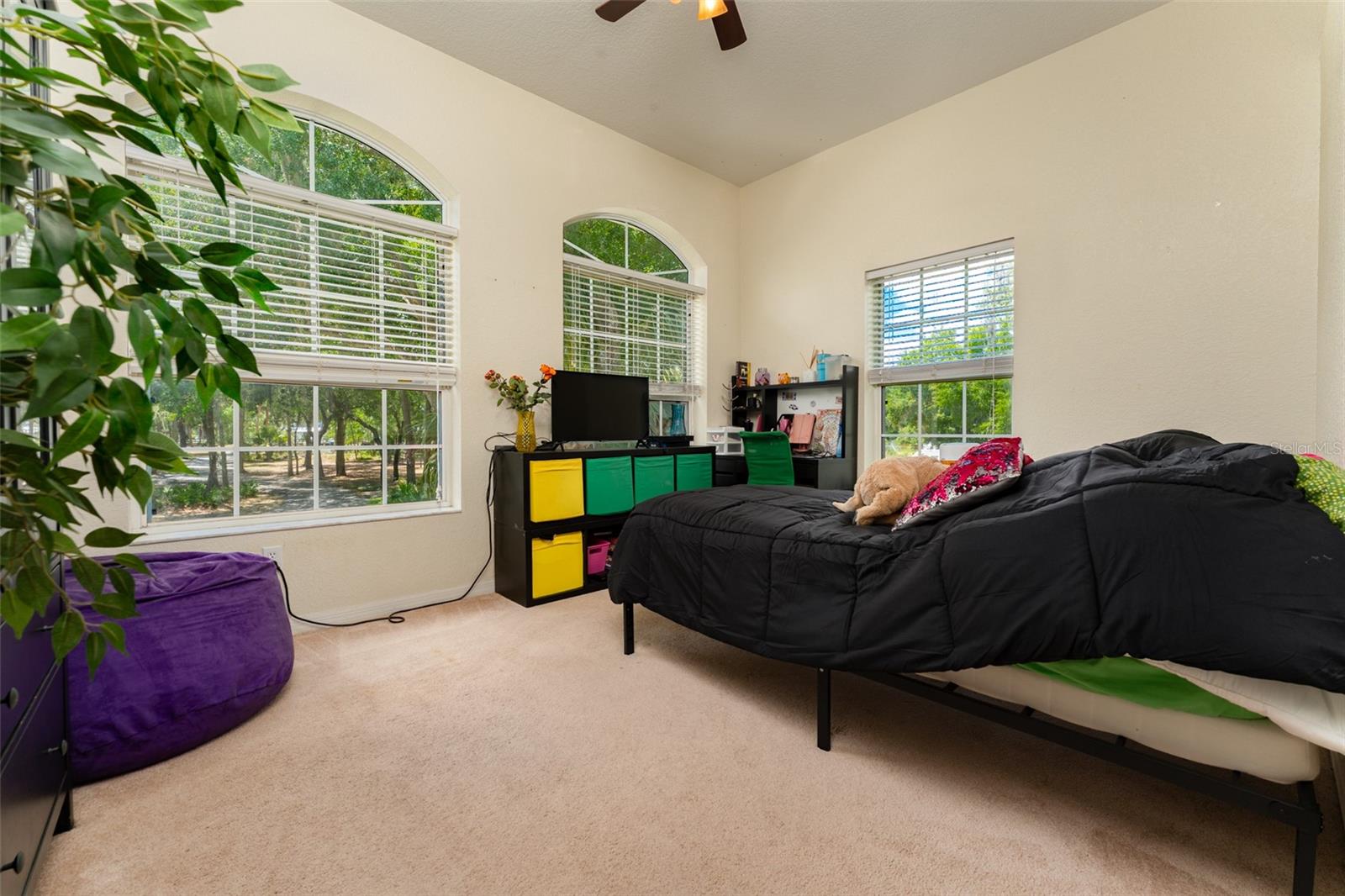 Listing photo id 27 for 8214 Revels Road
