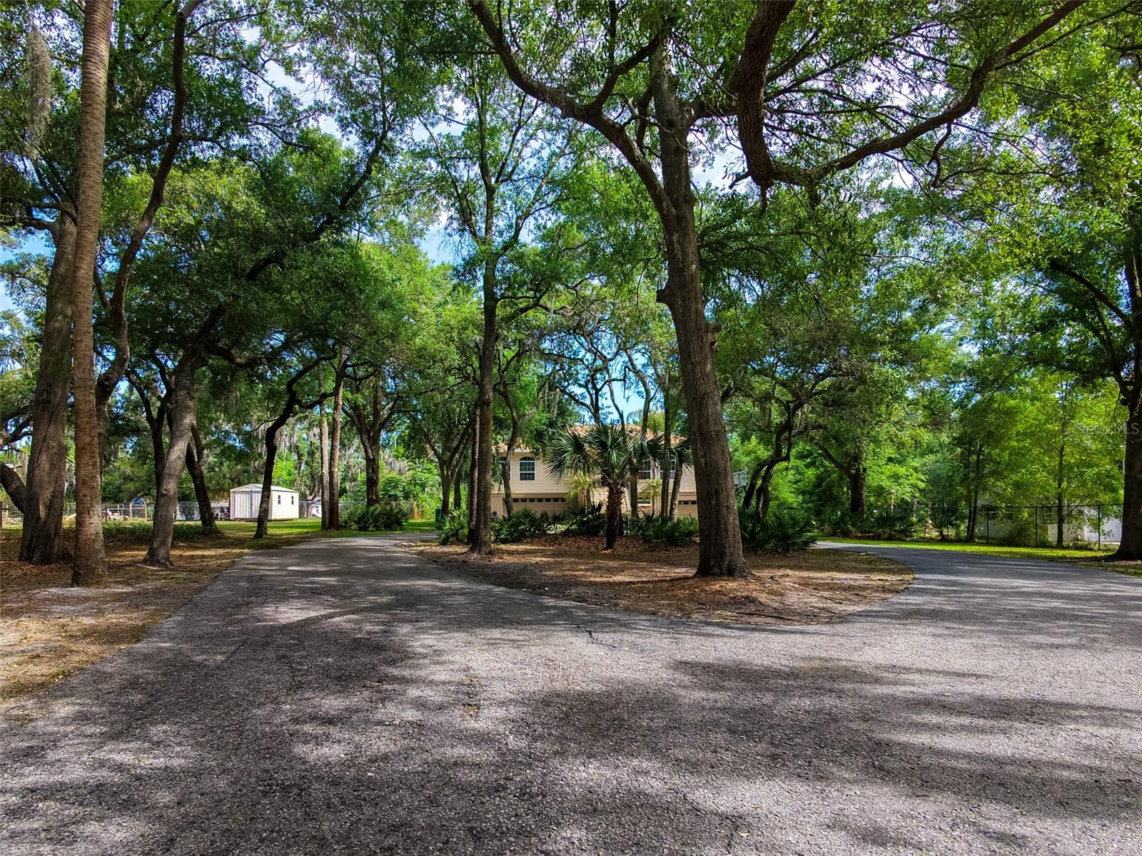 Listing photo id 50 for 8214 Revels Road