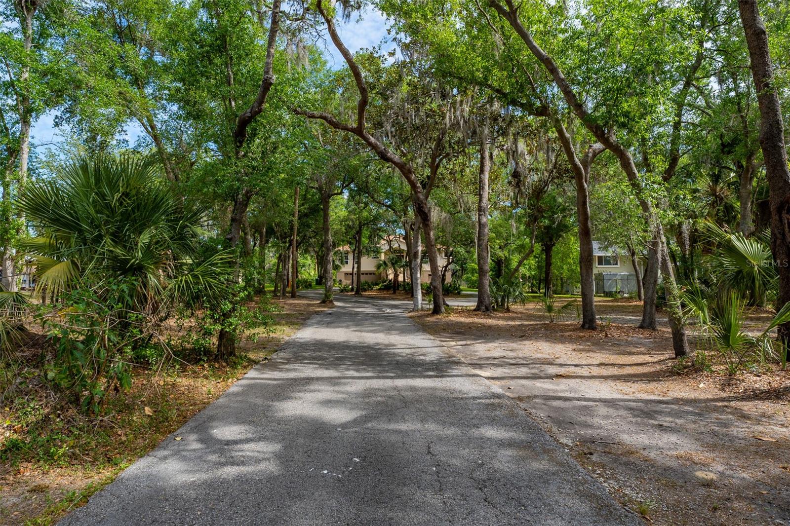 Listing photo id 52 for 8214 Revels Road