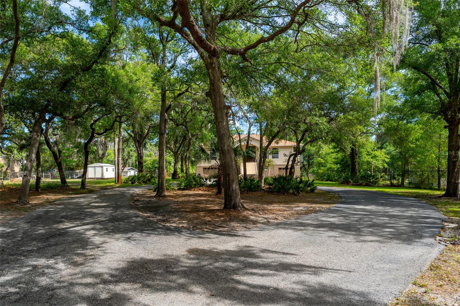 Listing photo id 53 for 8214 Revels Road