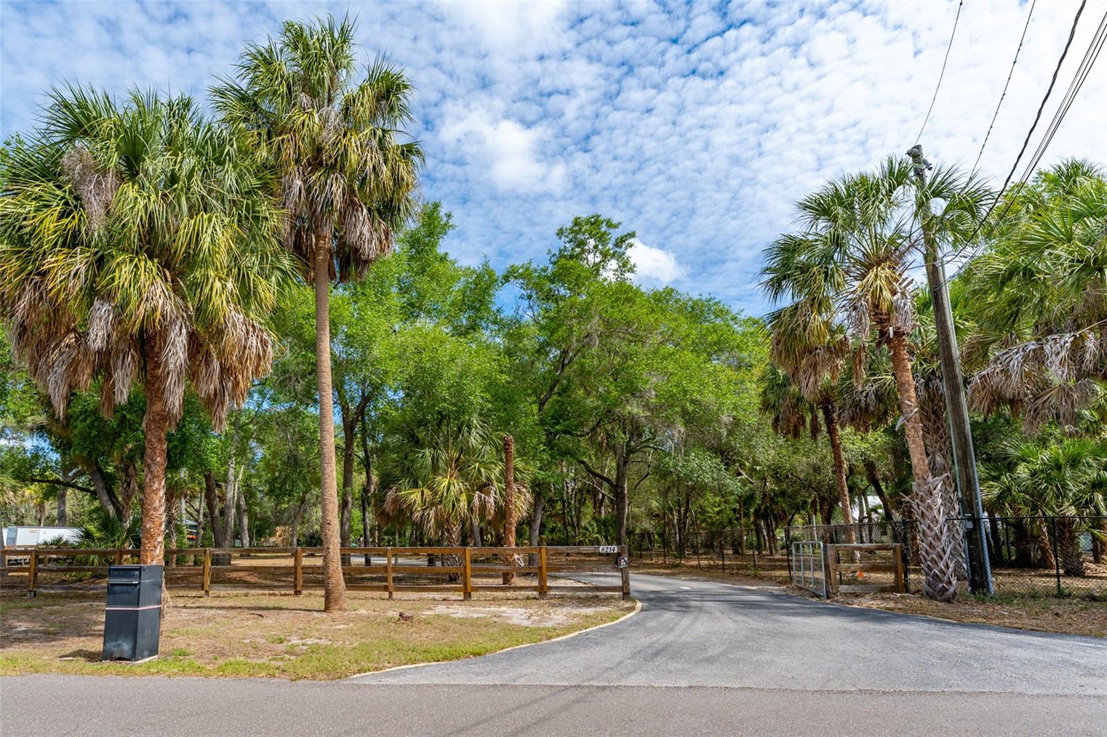 Listing photo id 54 for 8214 Revels Road