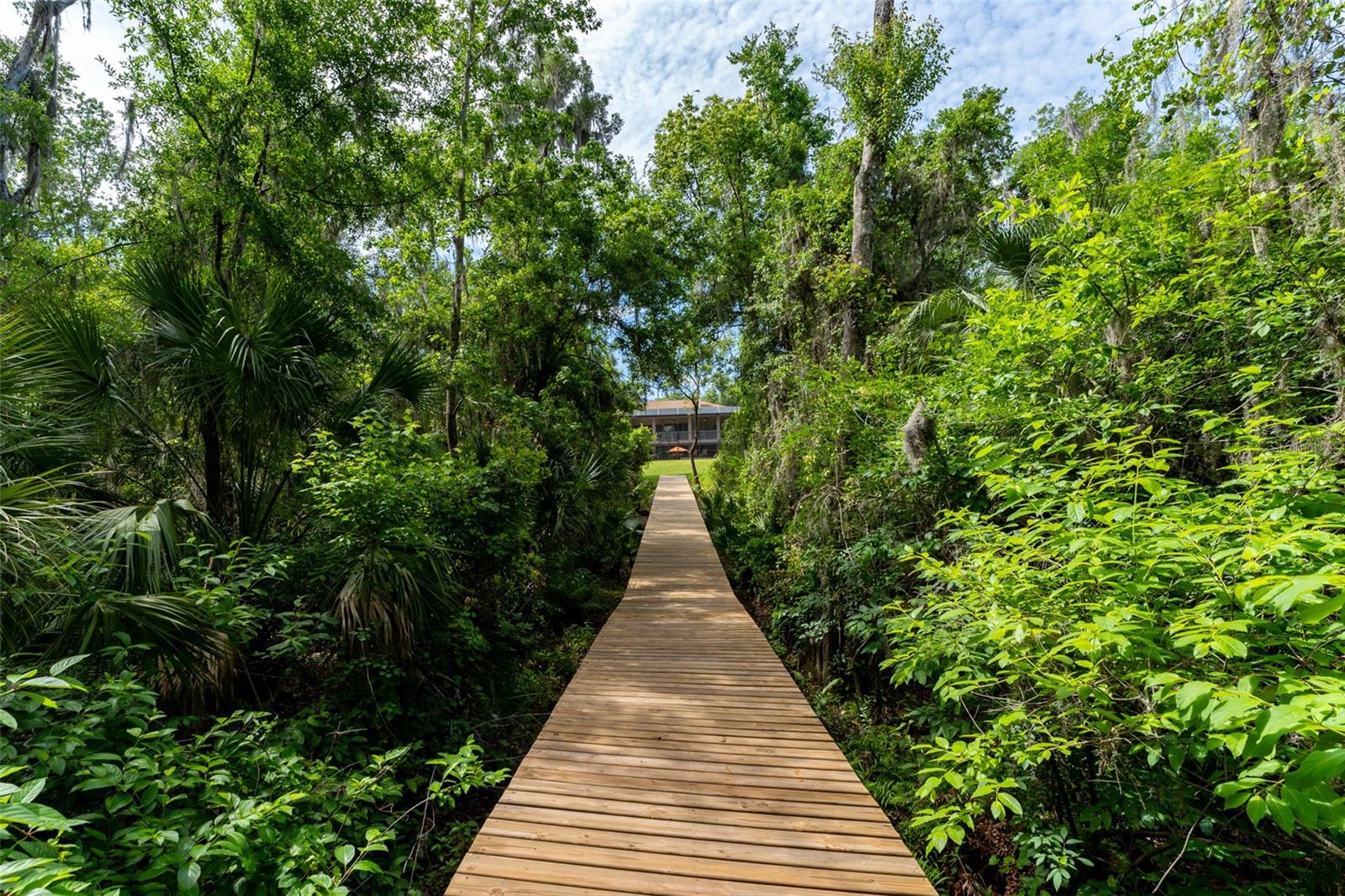 Listing photo id 5 for 8214 Revels Road