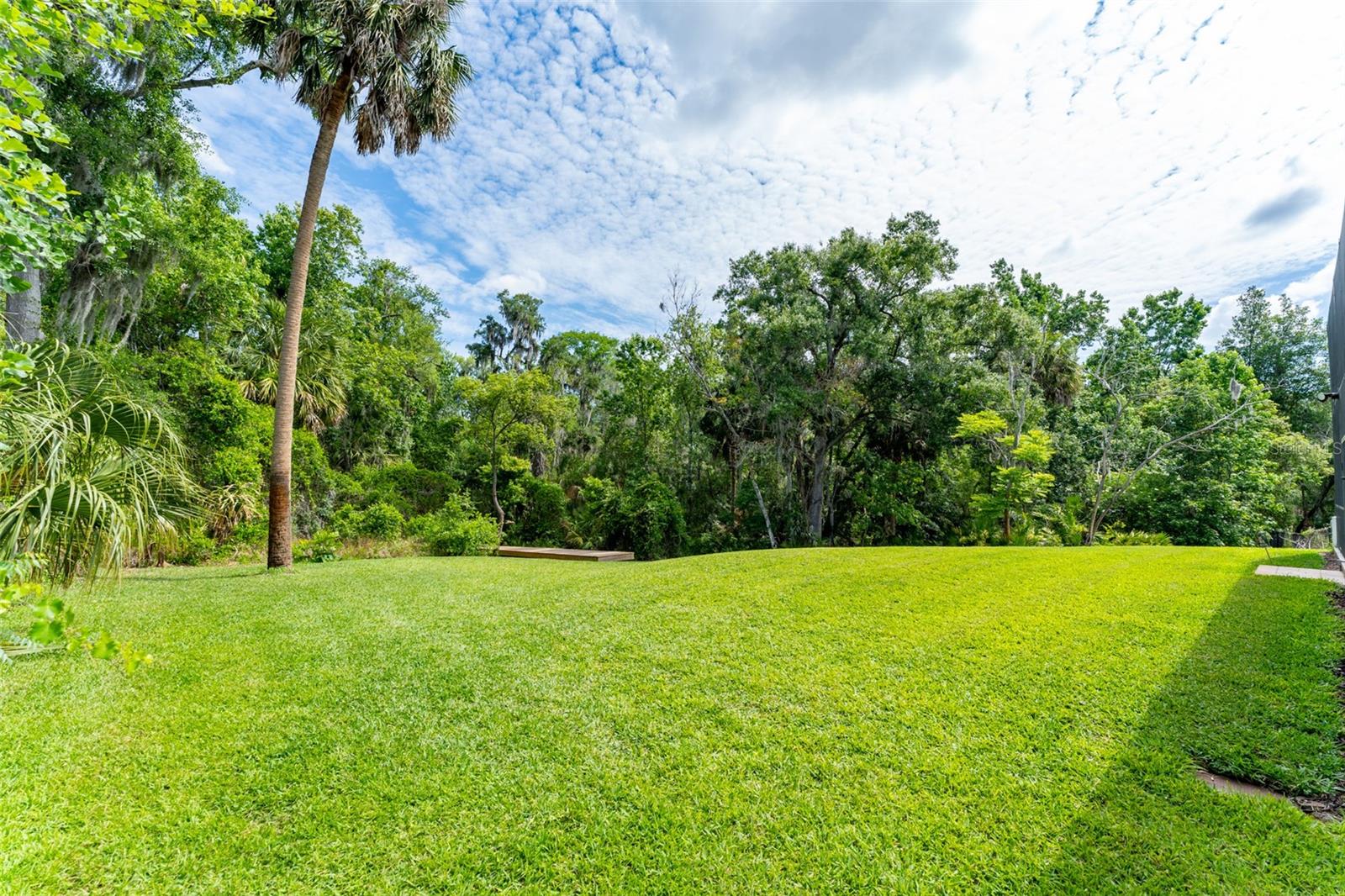 Listing photo id 77 for 8214 Revels Road