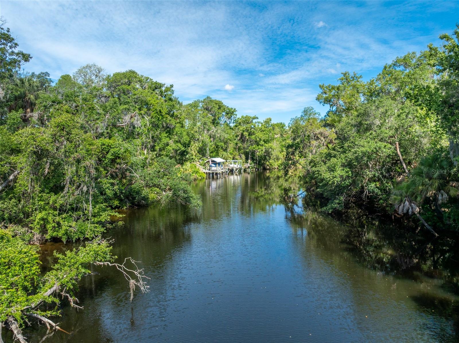 Listing photo id 6 for 8214 Revels Road