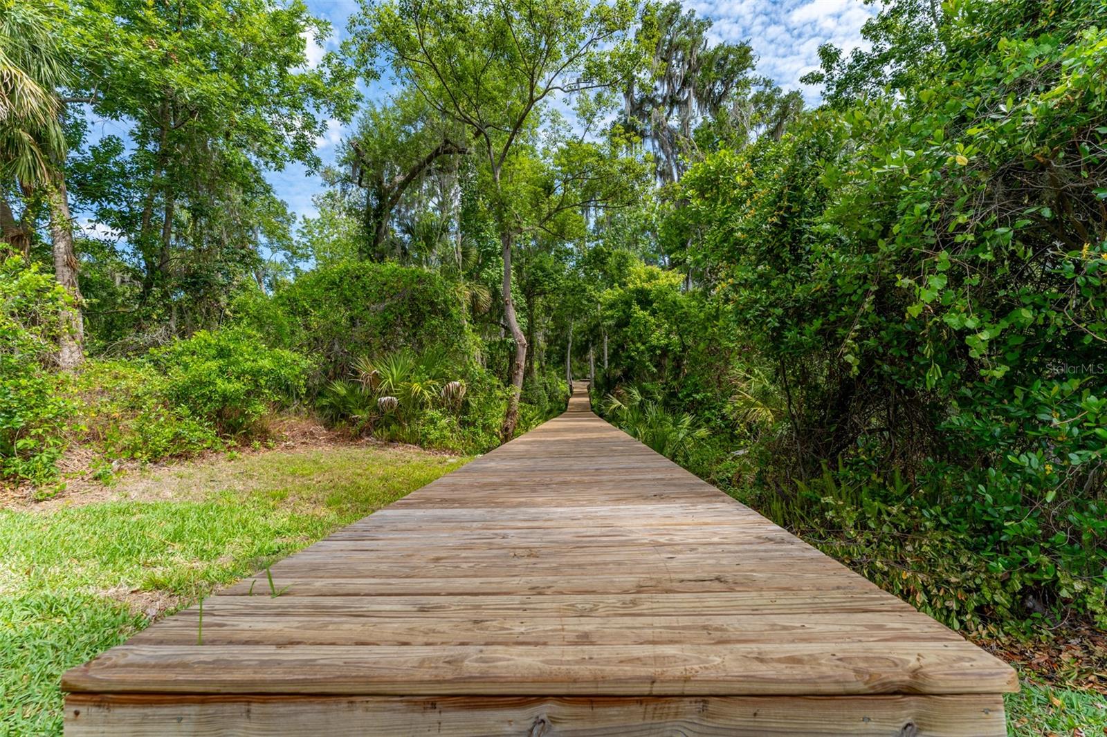 Listing photo id 79 for 8214 Revels Road