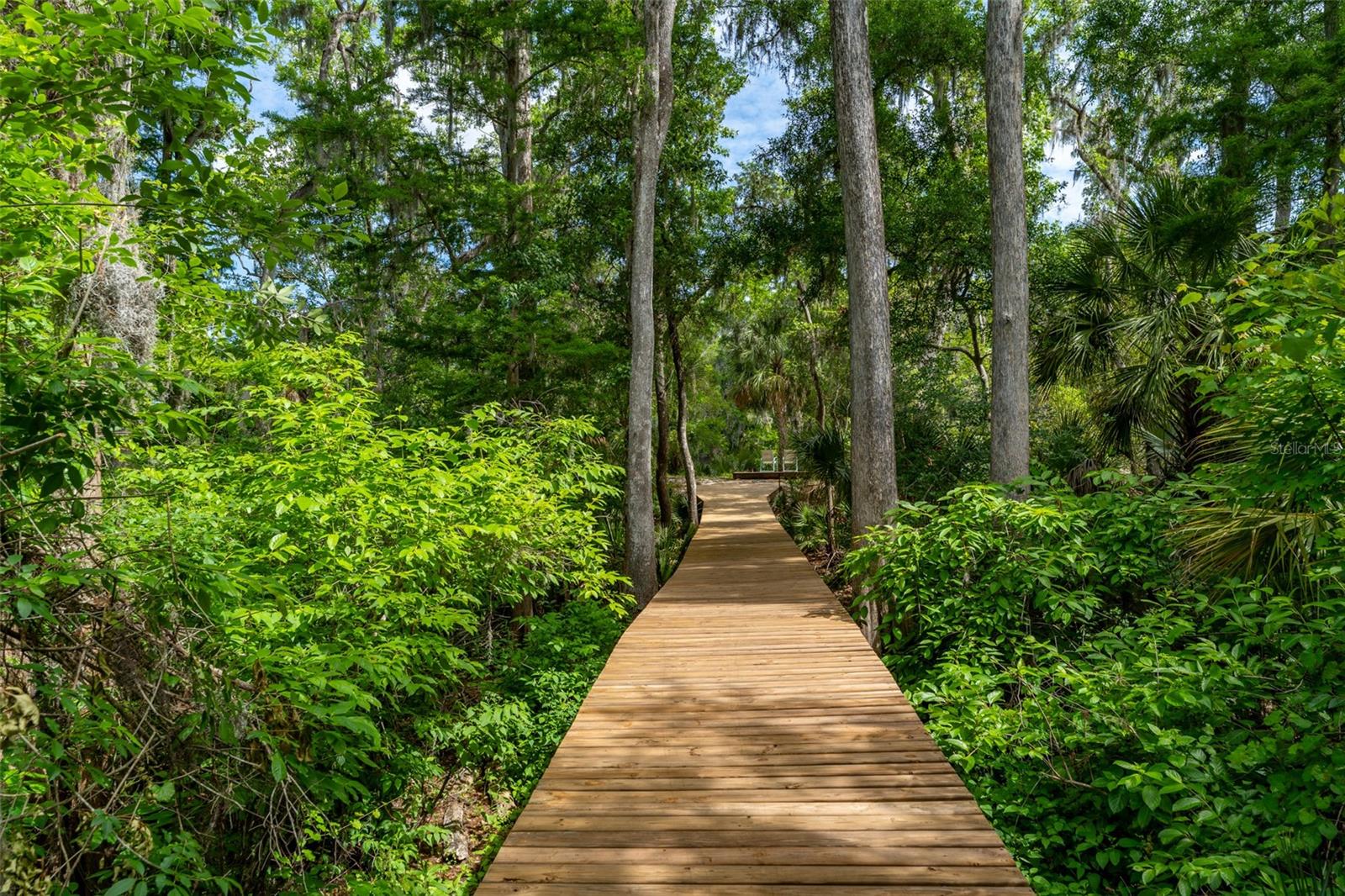 Listing photo id 80 for 8214 Revels Road