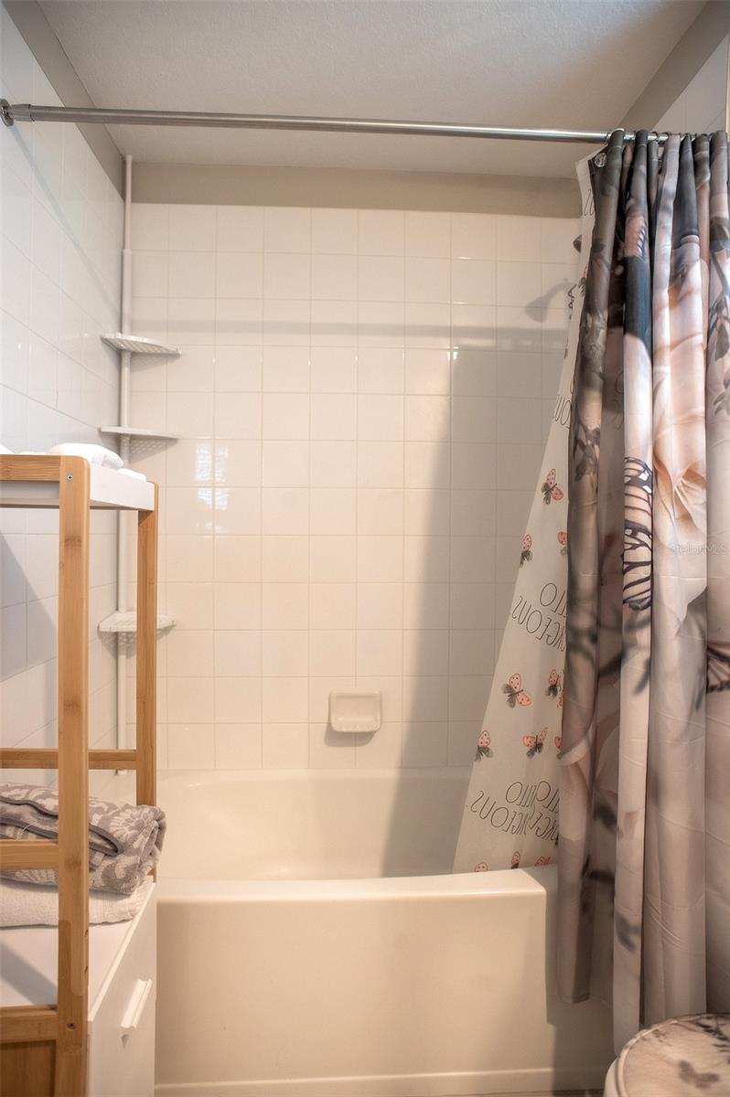 Image 39 of 46 For 2160 Cerulean Sky Drive