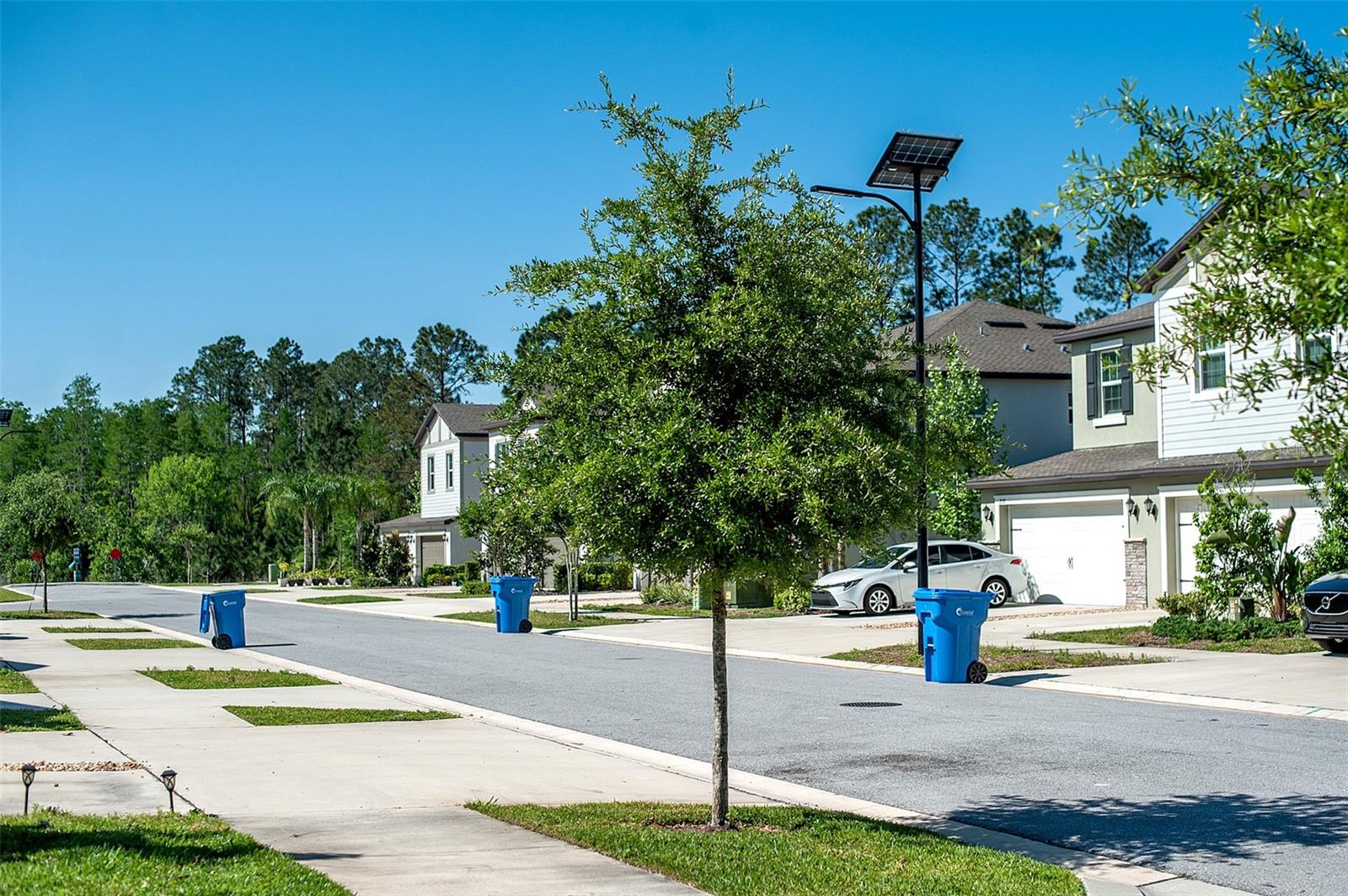 Image 43 of 46 For 2160 Cerulean Sky Drive