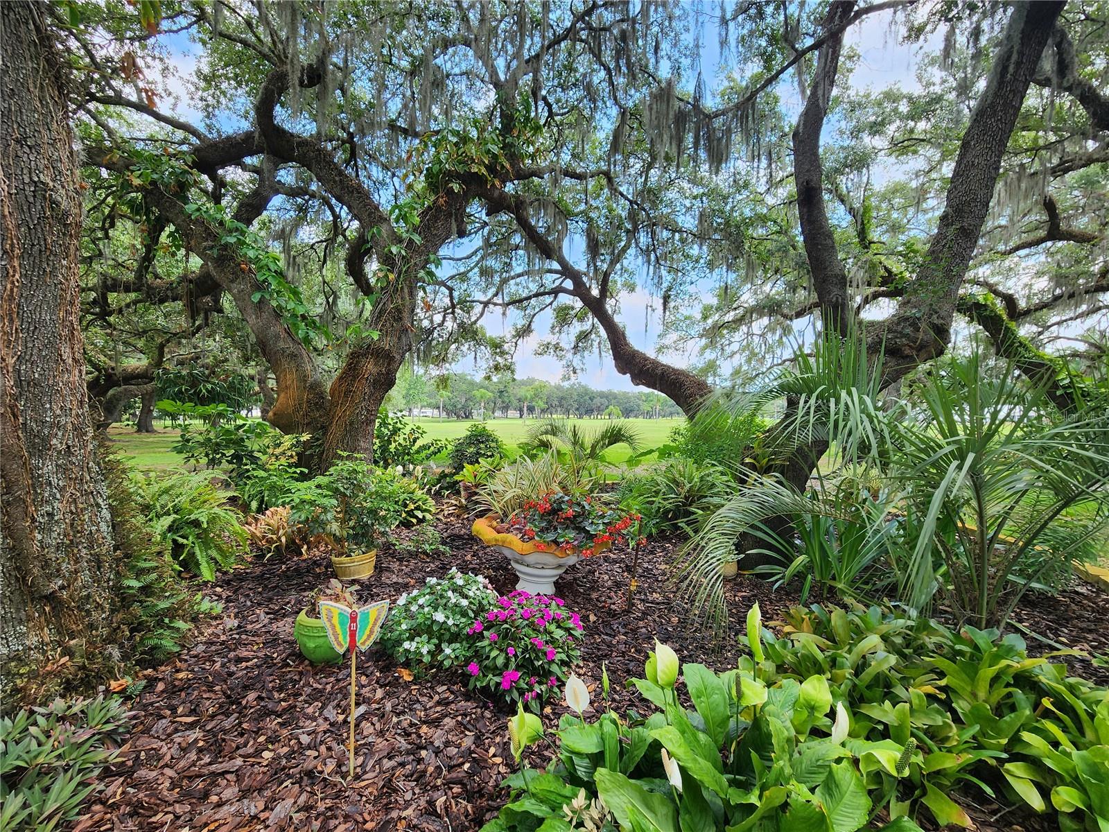 Image 45 of 67 For 36801 Camelia Court