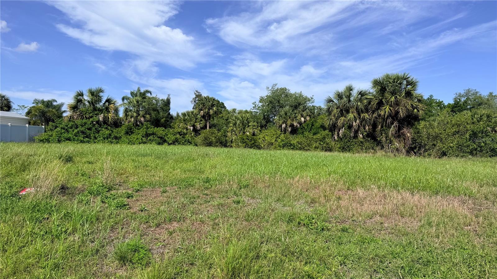 Listing Details for 3383 Desoto Drive, PUNTA GORDA, FL 33983