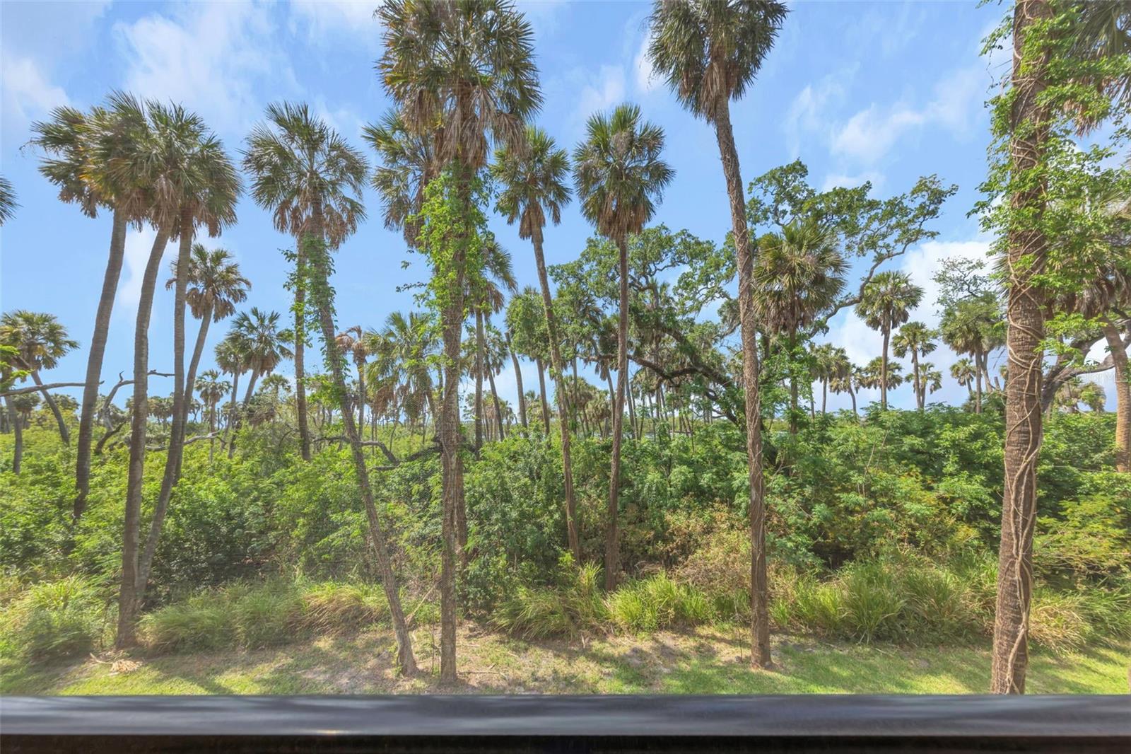 Image 21 of 49 For 4732 Tuscan Loon Drive