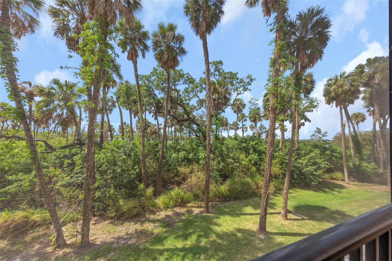 Image 22 of 49 For 4732 Tuscan Loon Drive