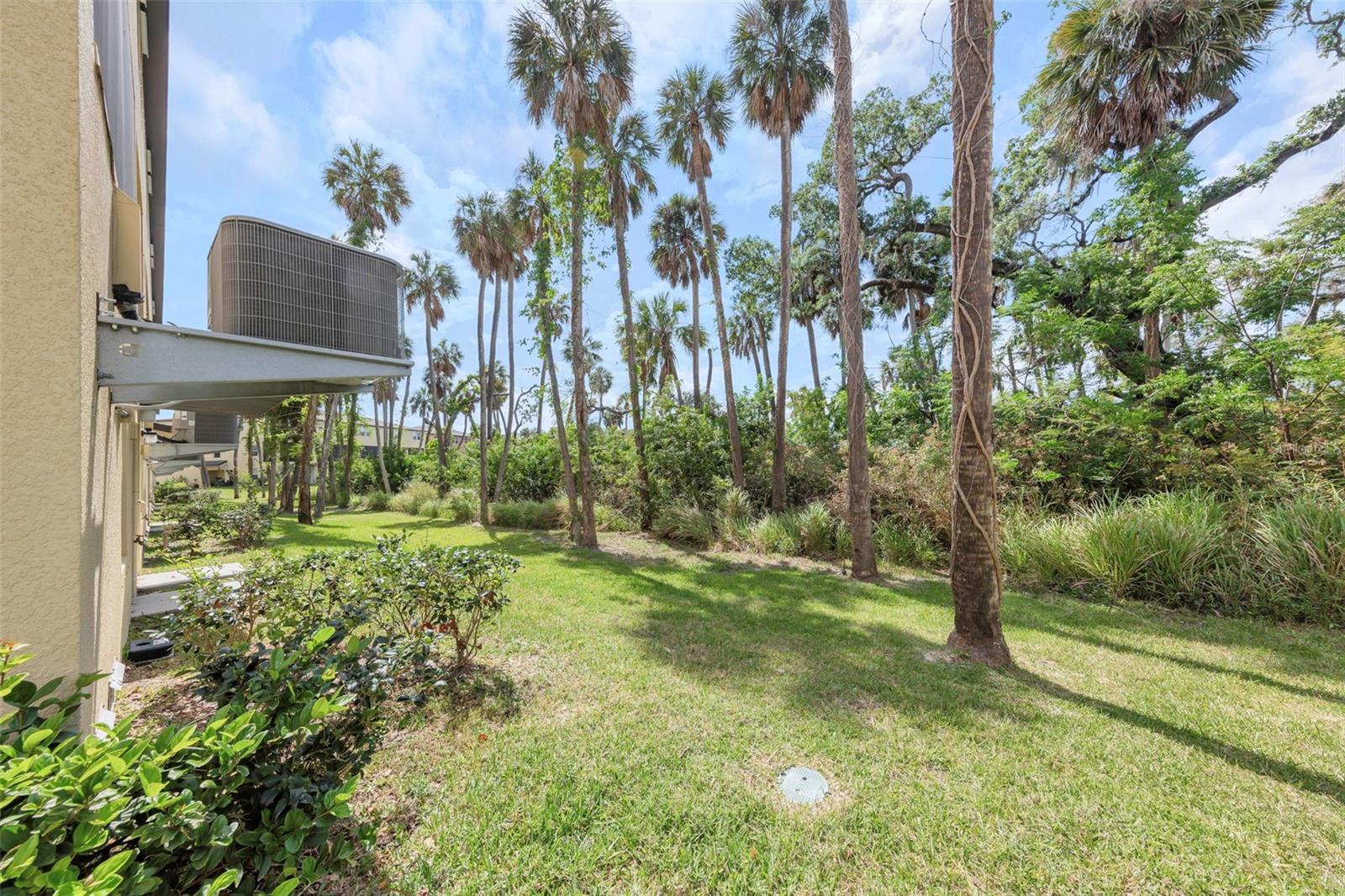 Image 35 of 49 For 4732 Tuscan Loon Drive