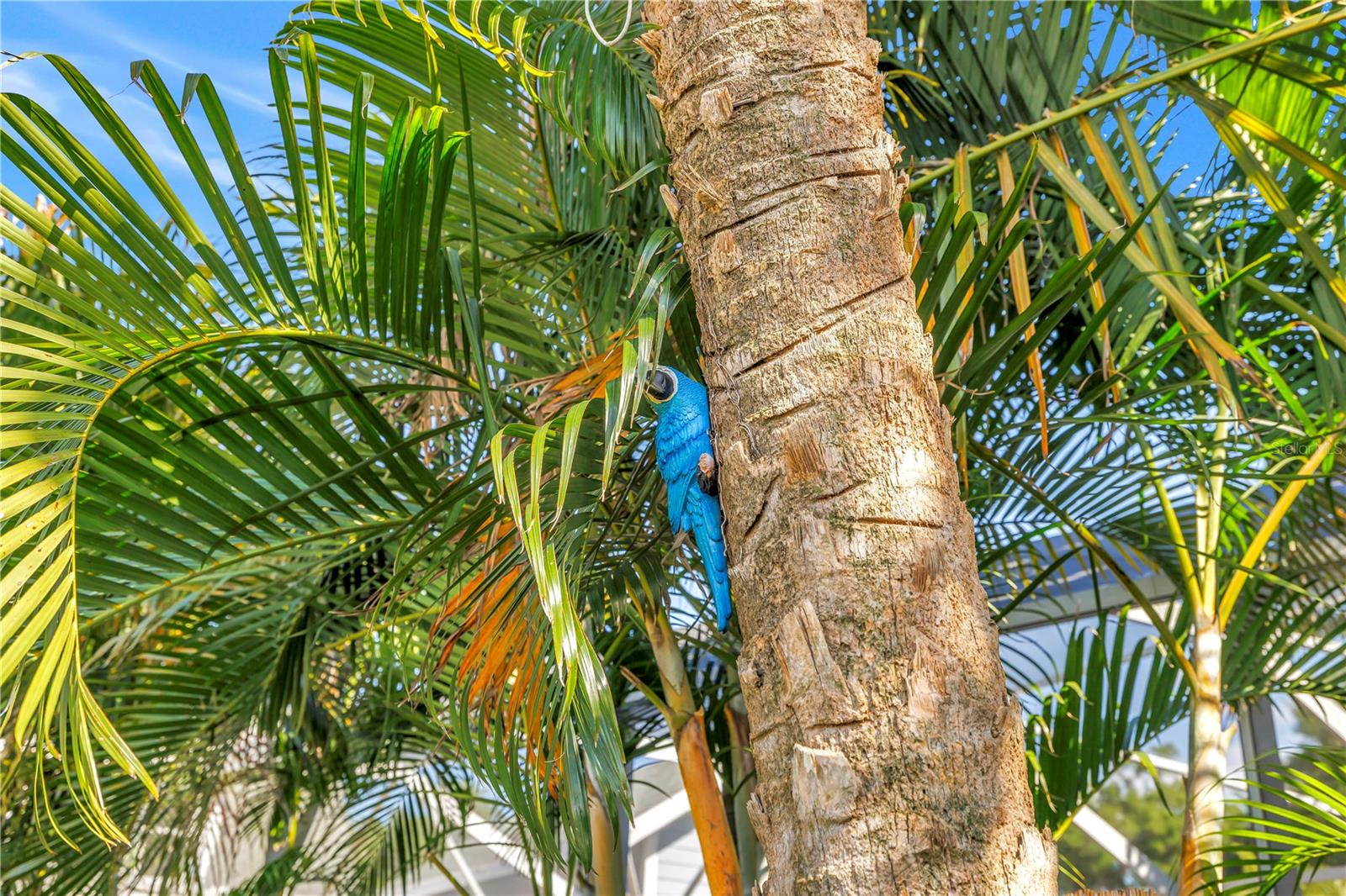 Image 42 of 48 For 748 11th Avenue N