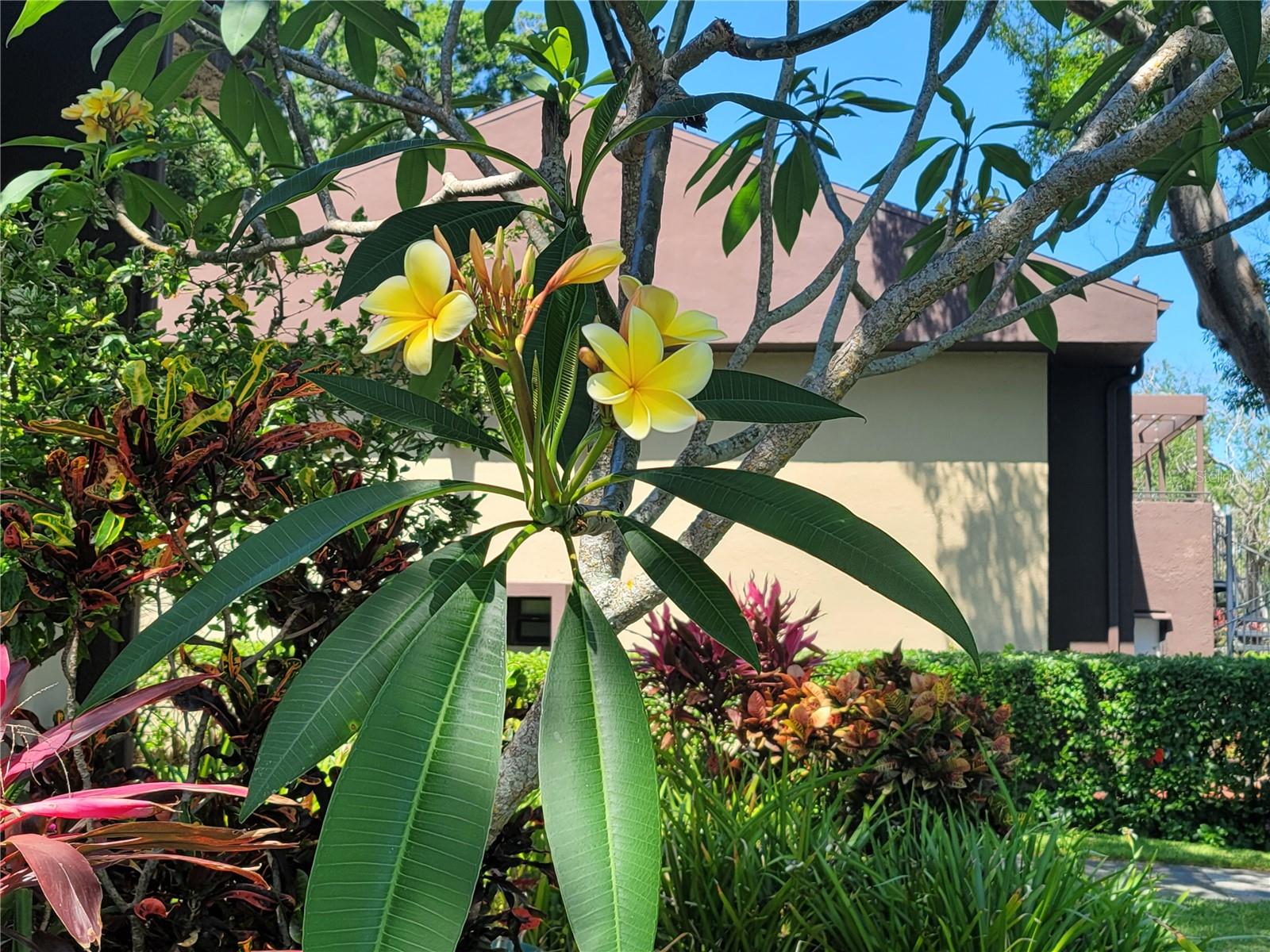 Image 30 of 31 For 10755 Village Club Circle N 101