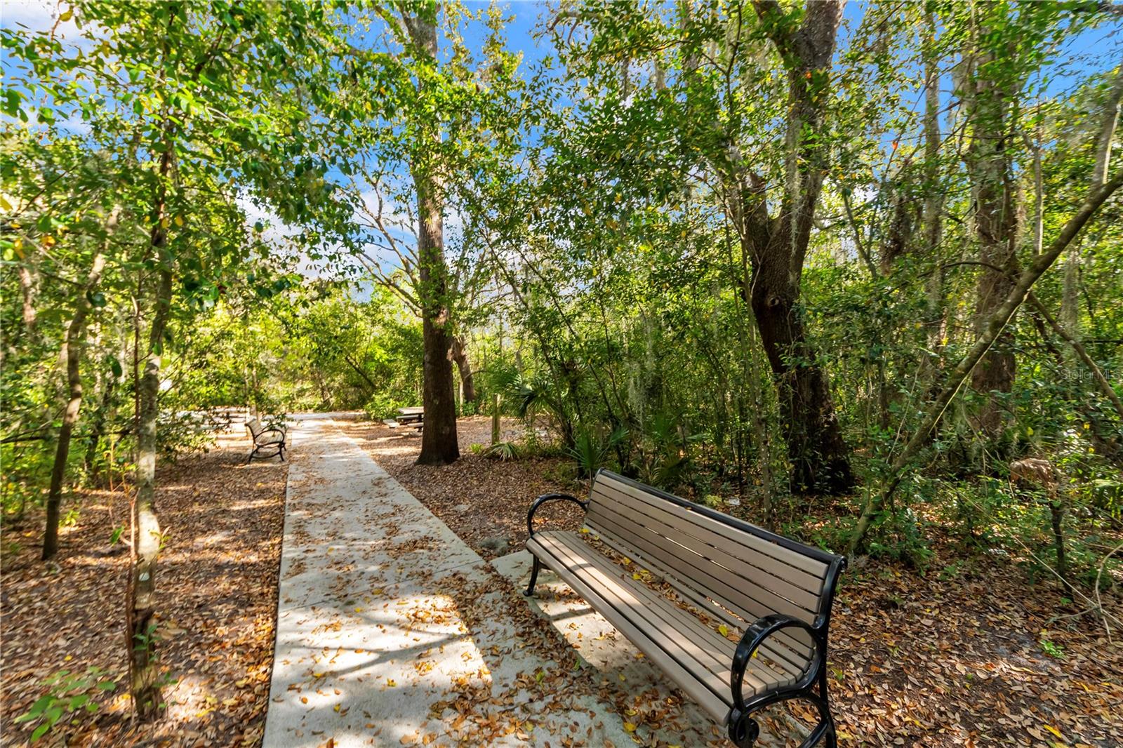 Image 30 of 35 For 3793 Golden Shiner Lane