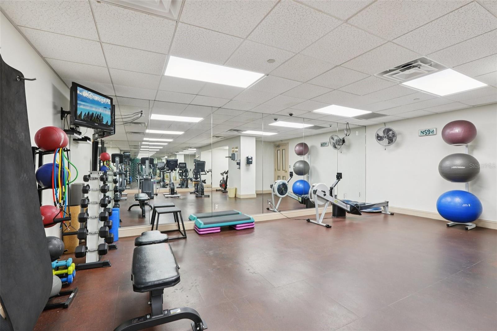 Image 28 of 44 For 345 Bayshore Boulevard 907