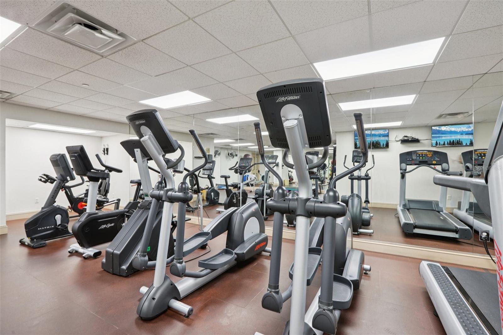 Image 29 of 44 For 345 Bayshore Boulevard 907