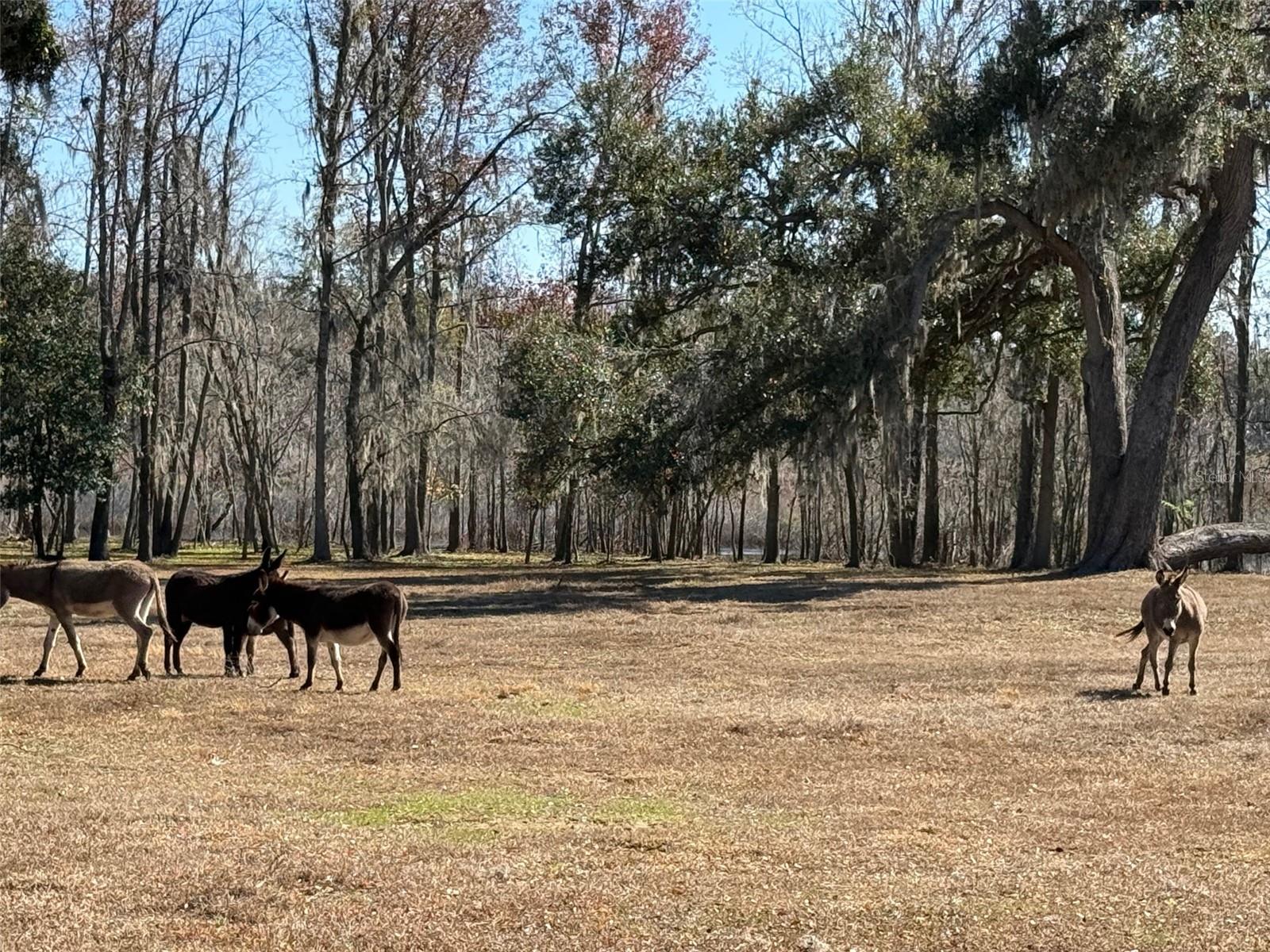 Image 2 of 9 For 37214 Hester Road