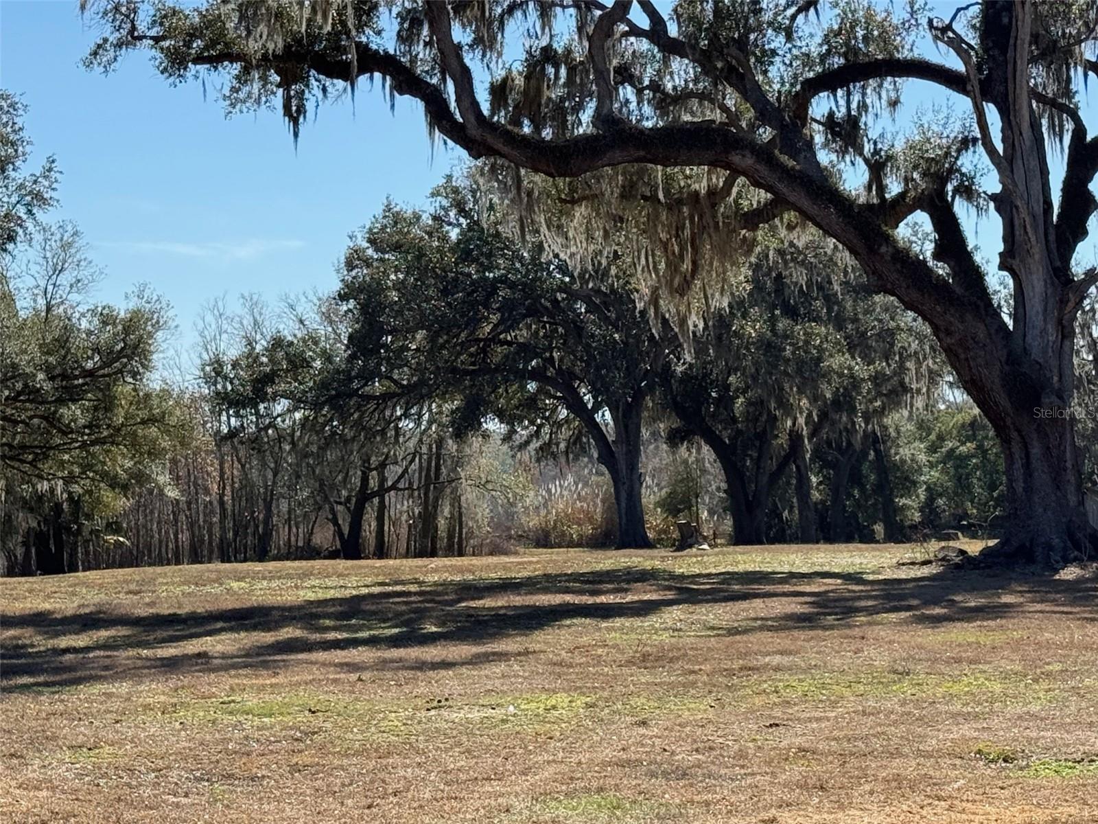 Image 3 of 9 For 37214 Hester Road